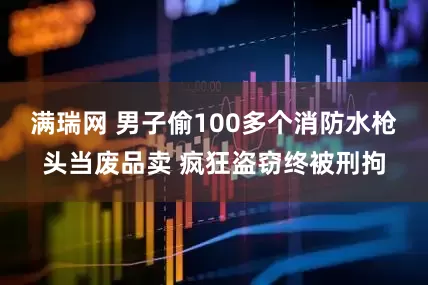 满瑞网 男子偷100多个消防水枪头当废品卖 疯狂盗窃终被刑拘