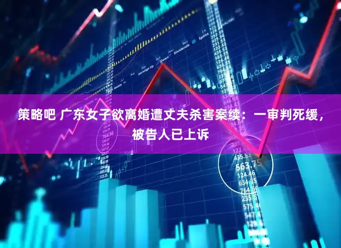 策略吧 广东女子欲离婚遭丈夫杀害案续：一审判死缓，被告人已上诉