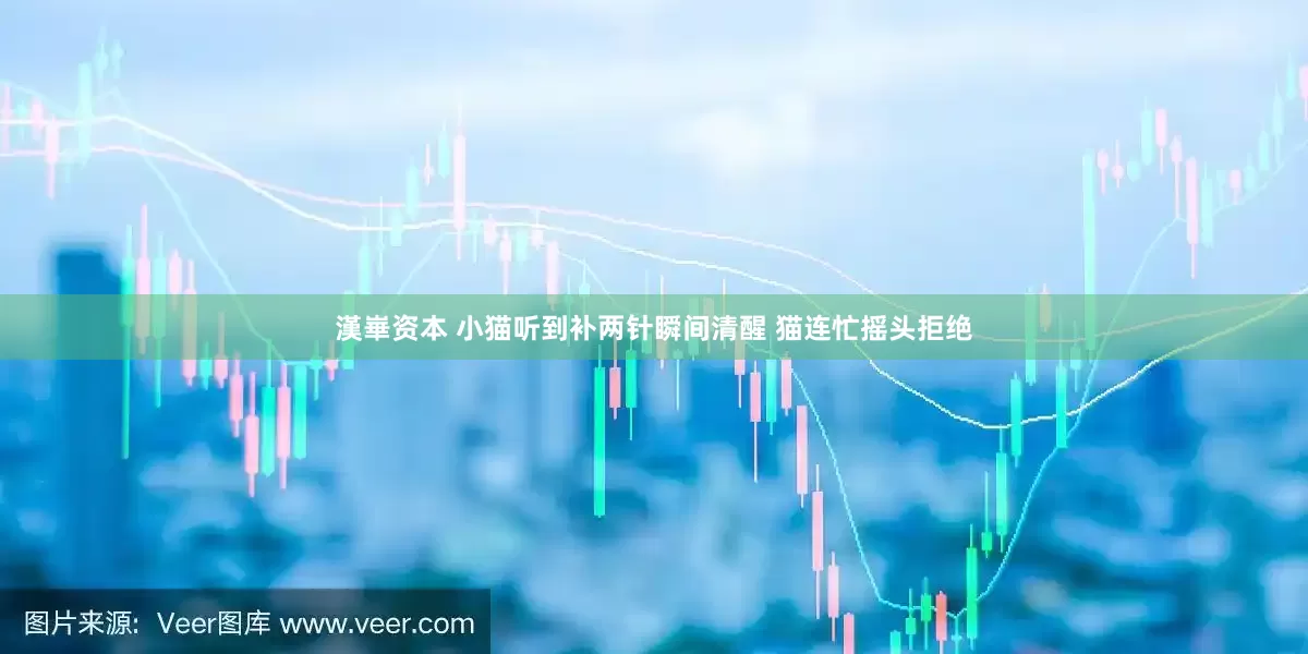 漢崋资本 小猫听到补两针瞬间清醒 猫连忙摇头拒绝
